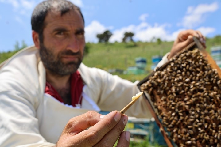 Her defasında 2 çay kaşığı kadar çıkıyor ve kilosu 45 bin lira Mucize besin şimdi yerli üretim yapılıyor
