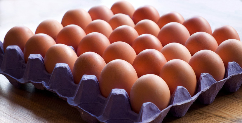 5 günde 150 yumurta yedi, değişime kendi bile inanamadı