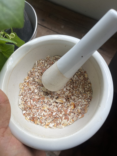 5 günde 150 yumurta yedi, değişime kendi bile inanamadı