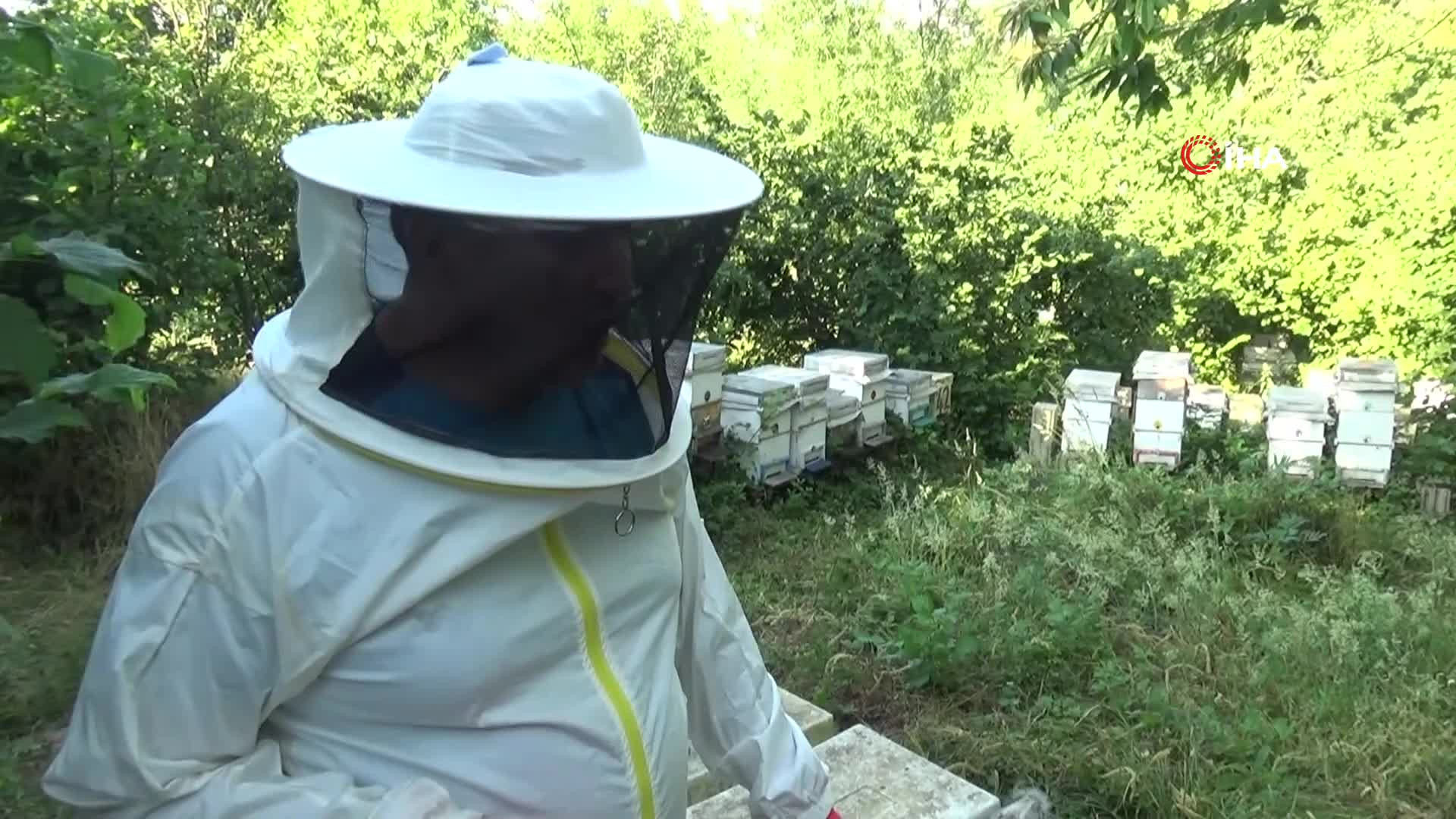 Kilogramını 2 bin 500 liradan satıyor | Dedesinin nasihatiyle başladığı işi ilerletti, hedefi 1 ton üretim yapmak...