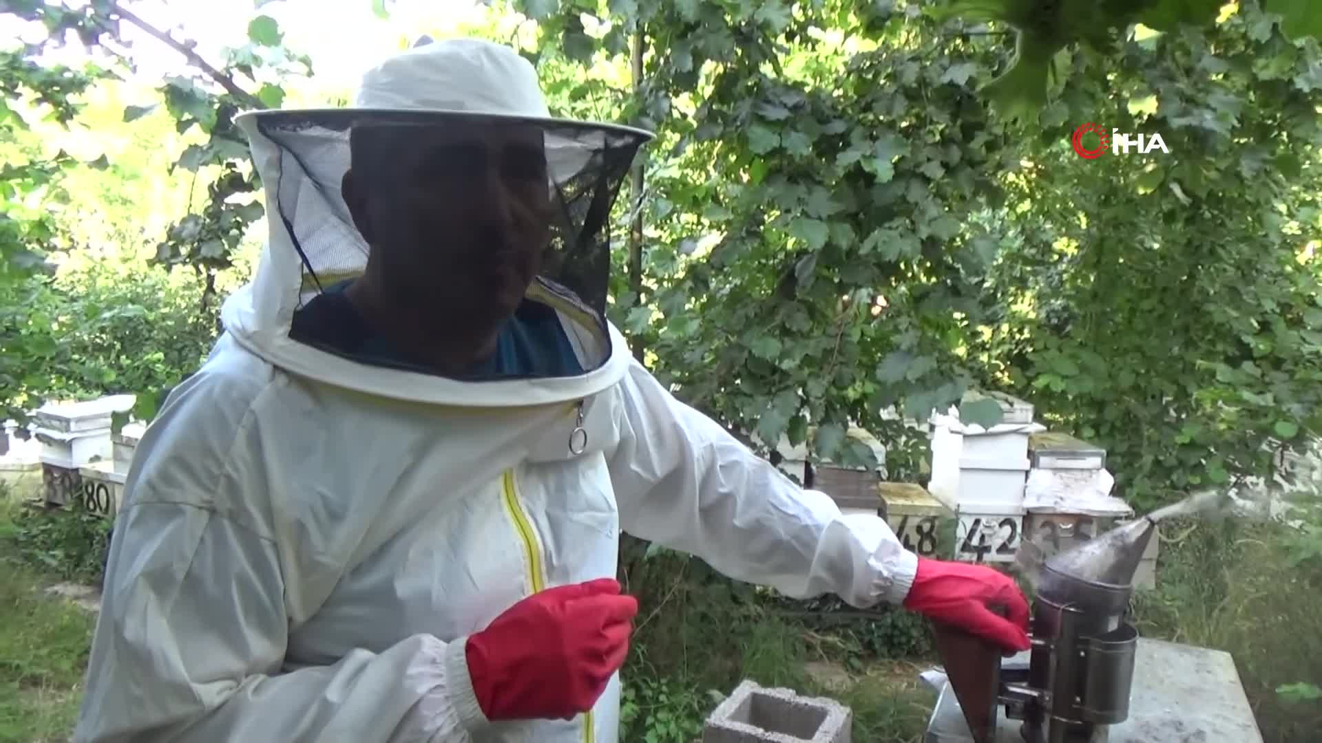 Kilogramını 2 bin 500 liradan satıyor | Dedesinin nasihatiyle başladığı işi ilerletti, hedefi 1 ton üretim yapmak...