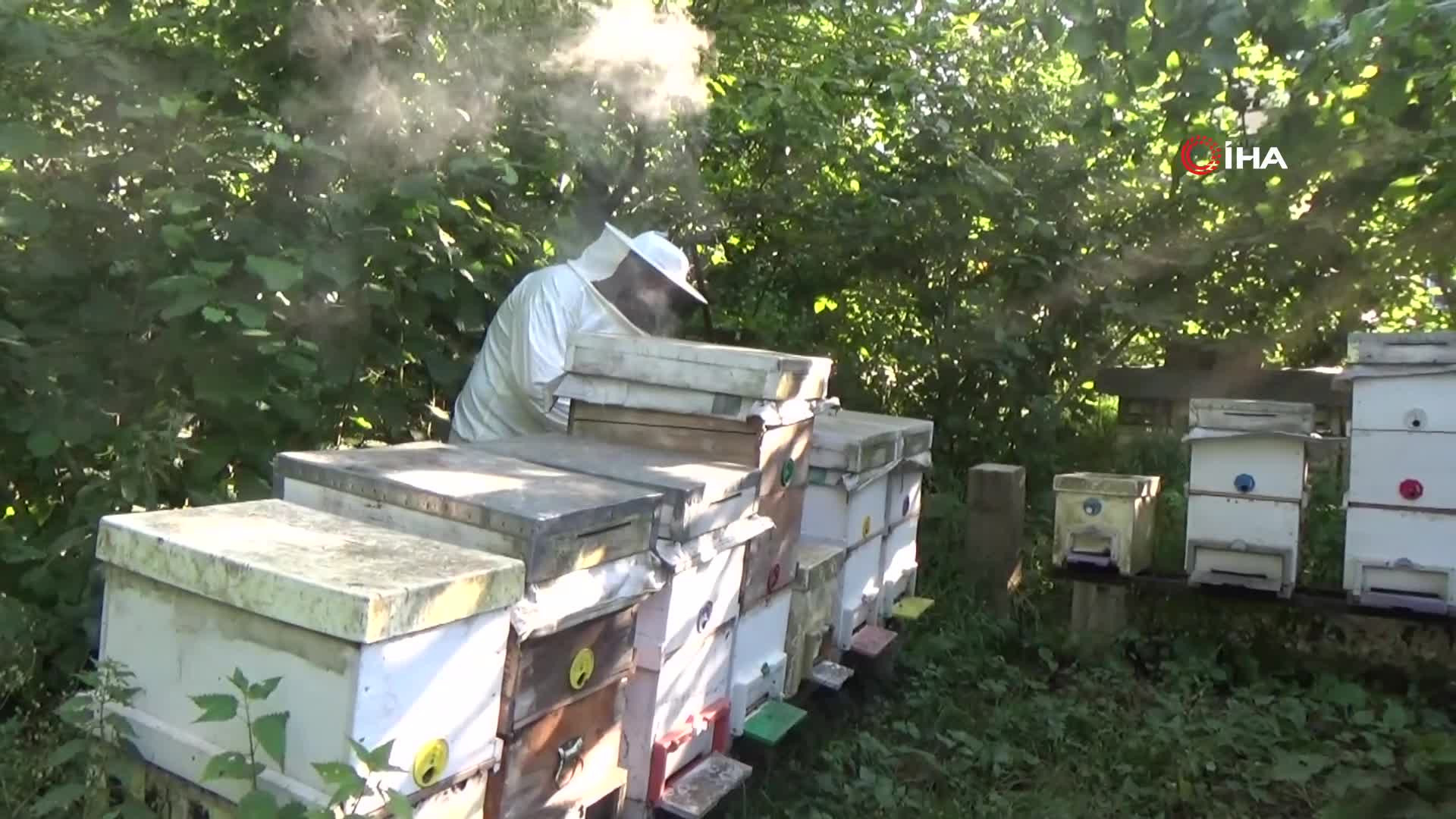 Kilogramını 2 bin 500 liradan satıyor | Dedesinin nasihatiyle başladığı işi ilerletti, hedefi 1 ton üretim yapmak...