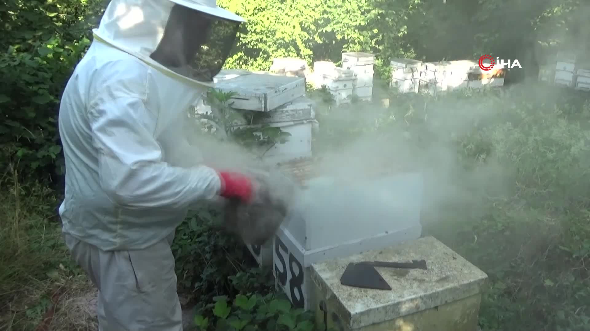 Kilogramını 2 bin 500 liradan satıyor | Dedesinin nasihatiyle başladığı işi ilerletti, hedefi 1 ton üretim yapmak...