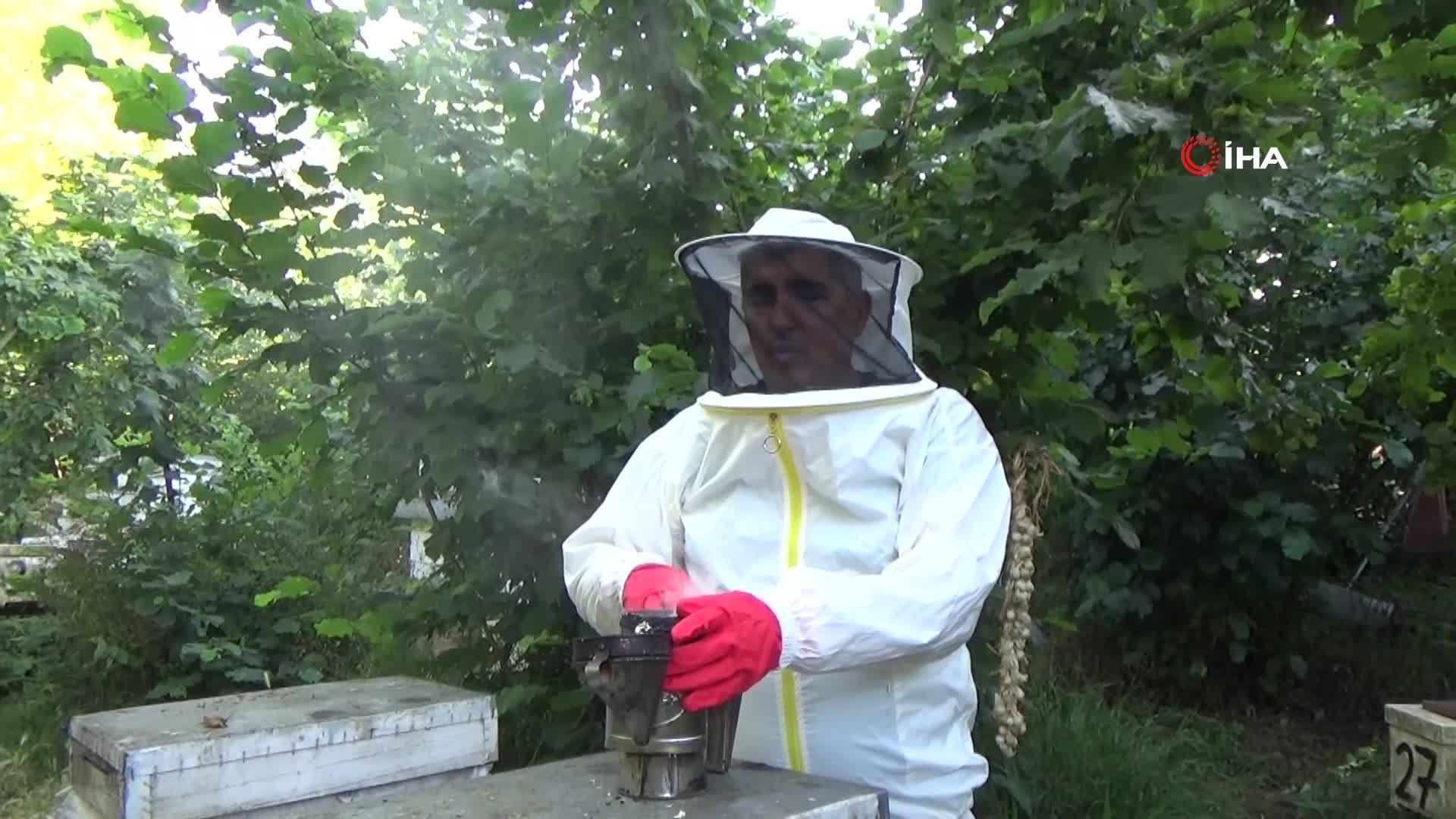 Kilogramını 2 bin 500 liradan satıyor | Dedesinin nasihatiyle başladığı işi ilerletti, hedefi 1 ton üretim yapmak...