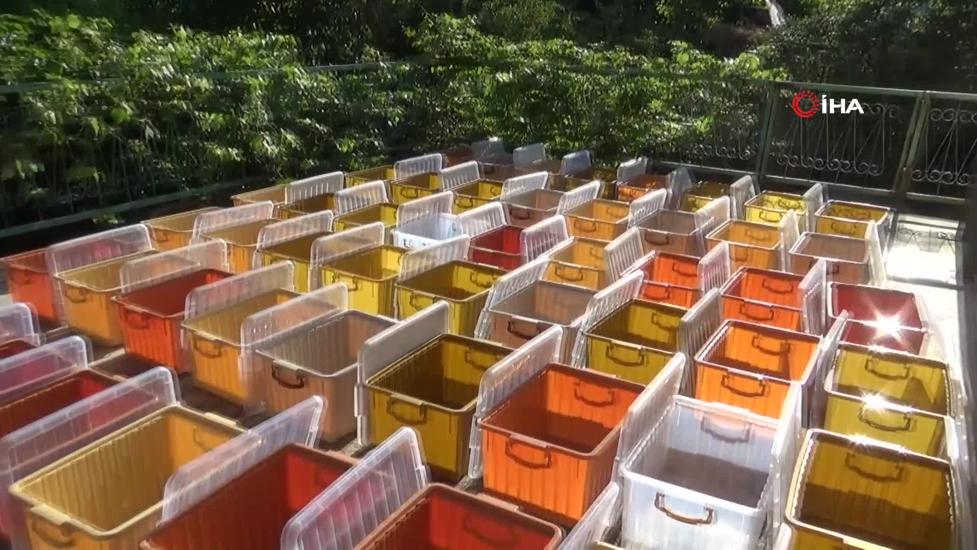 Kilogramını 2 bin 500 liradan satıyor | Dedesinin nasihatiyle başladığı işi ilerletti, hedefi 1 ton üretim yapmak...