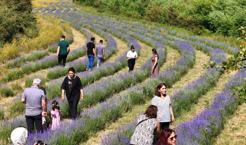 Erzincanda emekli öğretmen 3 yılda oluşturdu | Hiçbir ücret almıyor... Kentteki uğrak noktalardan biri oldu Erzincanda emekli öğretmen 3 yılda oluşturdu | Hiçbir ücret almıyor... Kentteki uğrak noktalardan biri oldu