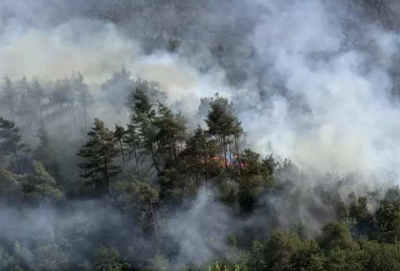 İzmir yangını son durum 30 Haziran Pazartesi: Sakarya, Bilecik, Denizli, Aydın, Manisa ve İzmirde yangın söndürüldü mü Bakan Yumaklıdan son dakika açıklama geldi İşte merak edilen detaylar
