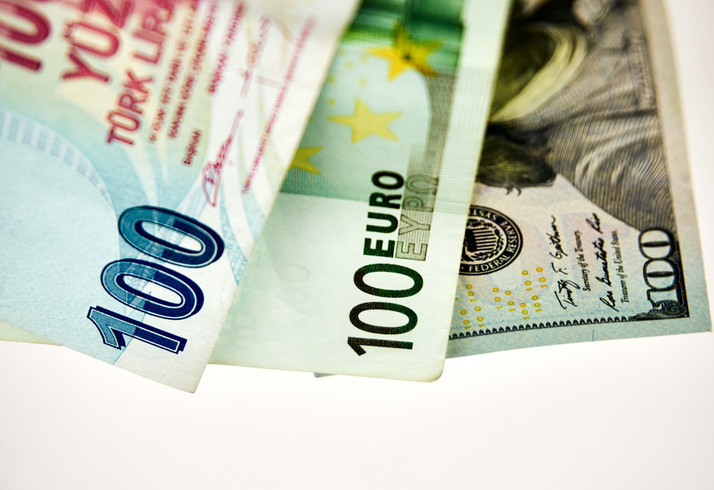 DOLAR/TL NE KADAR