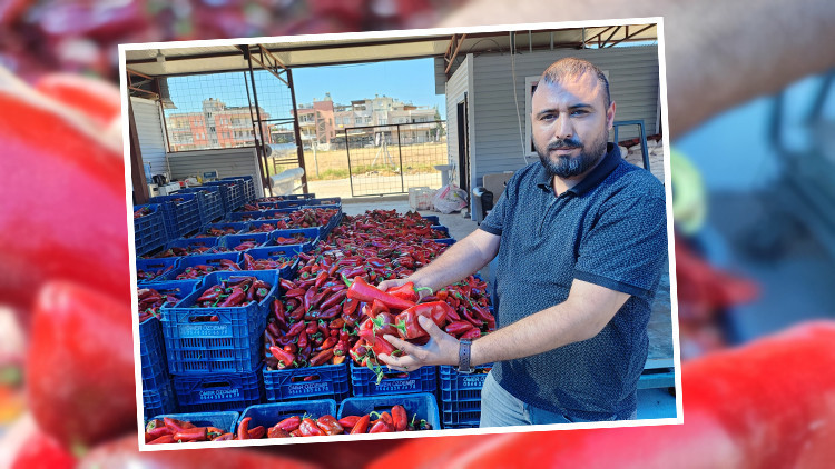 Kışın kilosu 100 lirayı buluyordu | Hazırlık başladı: Vatandaş kasa kasa satın alıyor Kışın kilosu 100 lirayı buluyordu | Hazırlık başladı: Vatandaş kasa kasa satın alıyor