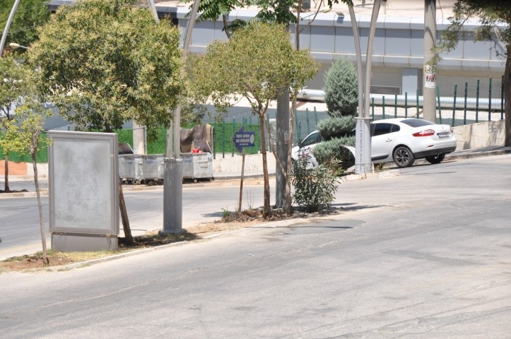 Hava sıcaklığı 40 derecenin üzerine çıktı, kentte yaşam durdu: Cadde ve sokaklar boş kaldı
