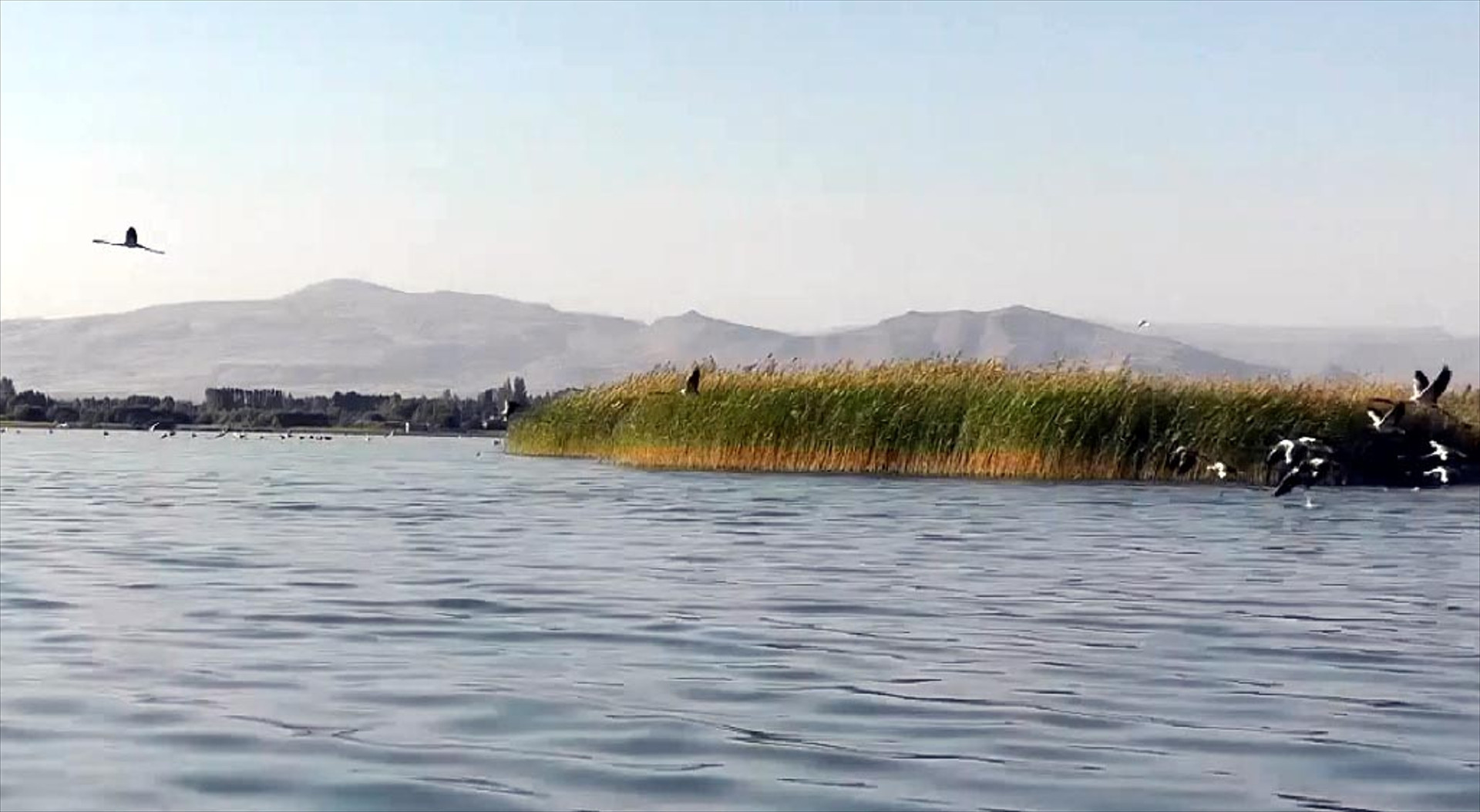 Kuraklık Van Gölünü vurdu Tekne ile gidiyorlardı, artık yaya olarak gidiyorlar