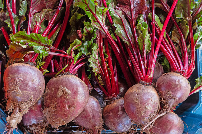 1) Göz muayenelerinizi ihmal etmeyin