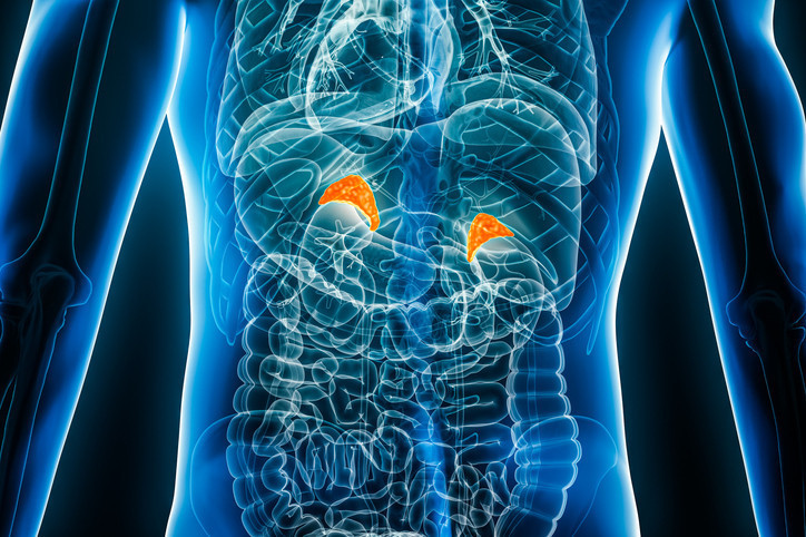 Adrenal yorgunluğu için birebir deniyor, sosyal medya fenomenleri öve öve bitiremiyor Kortizol kokteyli nedir, nasıl yapılır