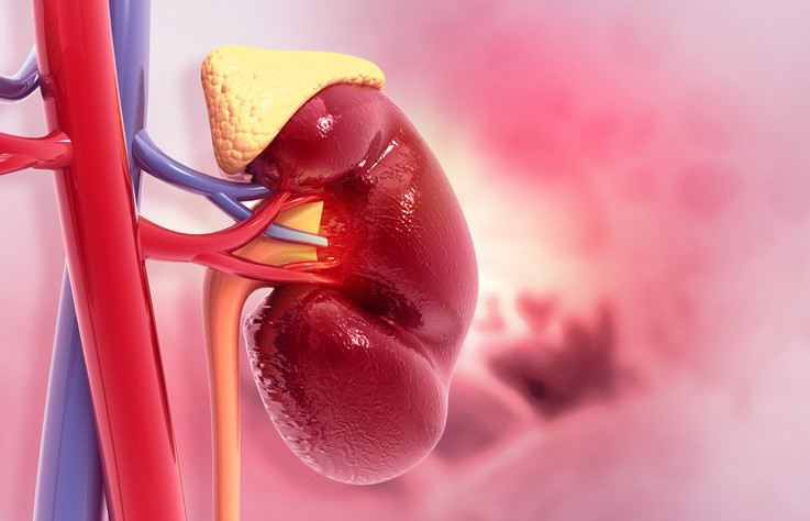 Adrenal yorgunluğu için birebir deniyor, sosyal medya fenomenleri öve öve bitiremiyor Kortizol kokteyli nedir, nasıl yapılır