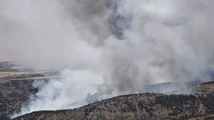 ANKARADA ORMAN YANGINI SON DURUM