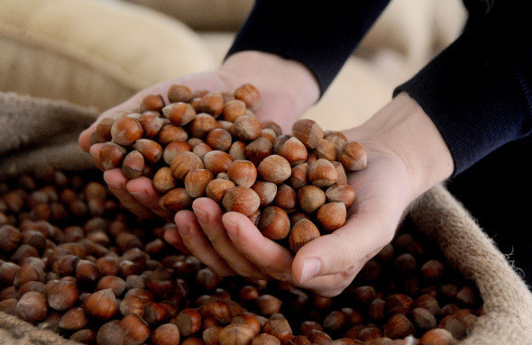 25 AĞUSTOS’TA ALIMLAR BAŞLIYOR