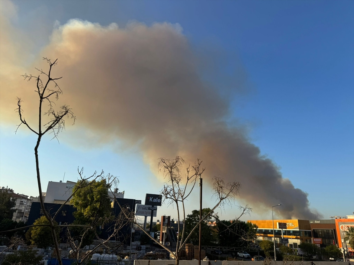 BAKAN YUMAKLIDAN AÇIKLAMA