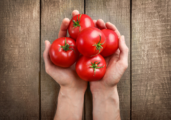 Dondur ve kışa sakla
