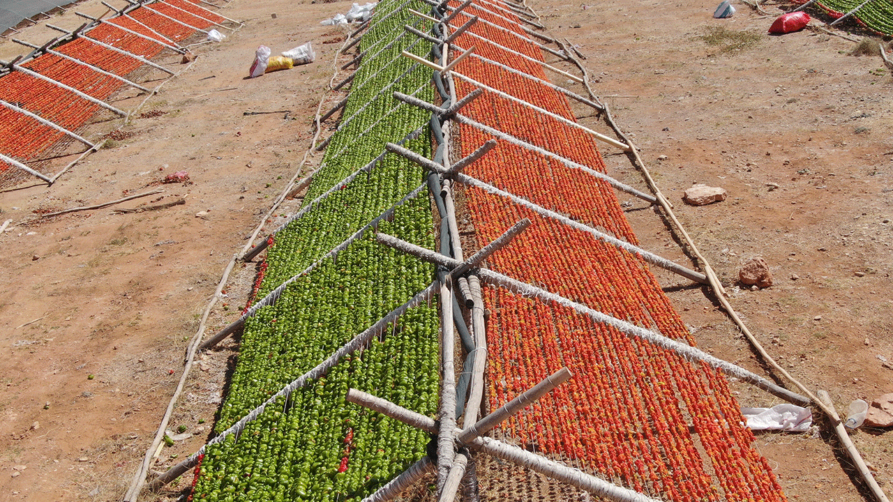 Gastronomi kentinde güneşe bırakılan kurutmalıklar eşsiz görüntüler oluşturuyor