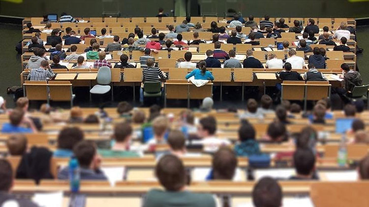 BU YIL YENİ AÇILAN BÖLÜMLER