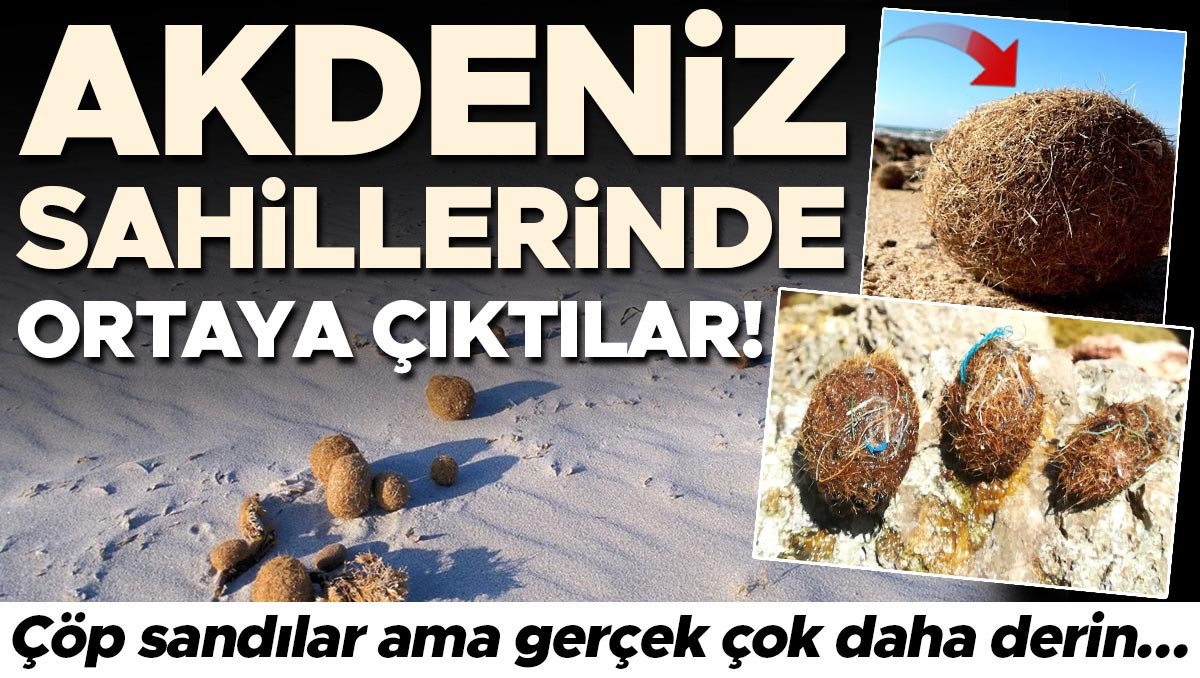 Akdeniz sahillerinde ortaya çıktılar! Çöp sandılar ama gerçek çok daha derin… ‘Bu bir uyarı mektubu’