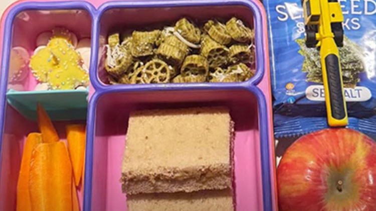 Banka hesabında milyonları var... Bir adımıyla servet kazanan ünlü model küçük kızının beslenme çantasını gösterdi!