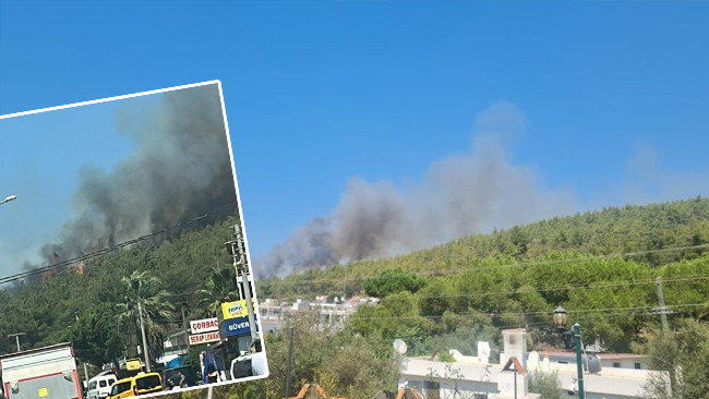 Bodrum’da orman yangını! Rüzgarın etkisiyle büyüyor