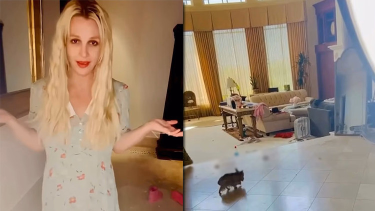 Ünlü şarkıcının içler acısı hali... Bankada milyonları var ama evinin salonu köpek pisliği dolu!