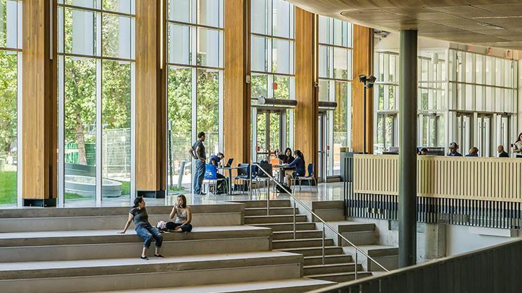 YKS 2025 YERLEŞTİRME SONUCU İSTATİSTİKLERİ