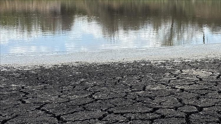 Dünya için çarpıcı rapor: Milyarlarca kişi tehdit altında