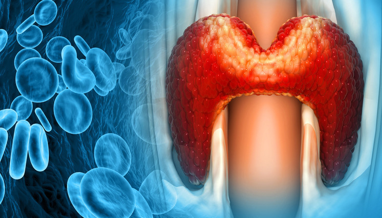 Kalp ve böbrekleri sessizce çökertiyor Bu gizli hastalığı neredeyse kimse bilmiyor Kalp ve böbrekleri sessizce çökertiyor Bu gizli hastalığı neredeyse kimse bilmiyor
