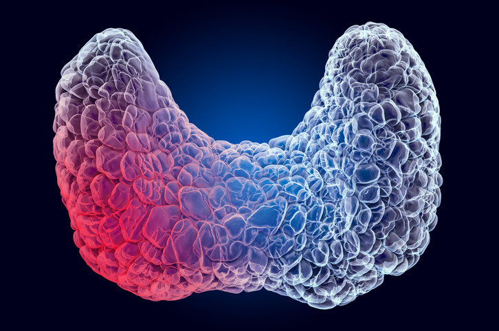 BULGULAR ÇOK SİNSİ SEYREDİYOR BULGULAR ÇOK SİNSİ SEYREDİYOR