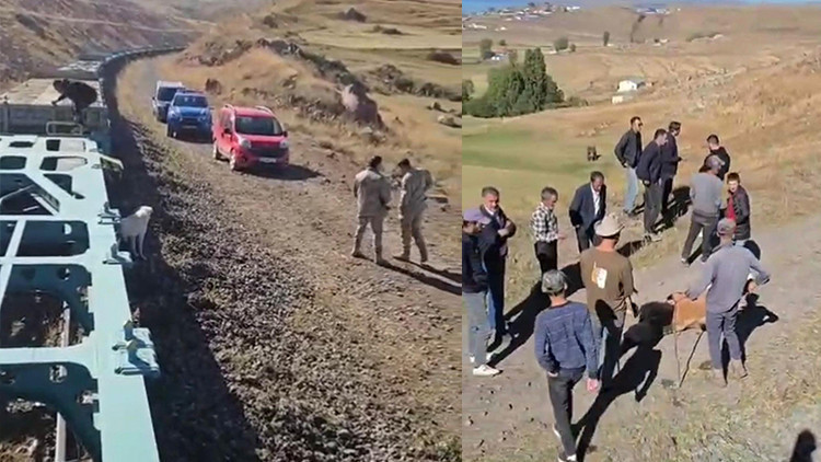 Yük treni sürüye çarptı; 5 büyükbaş öldü