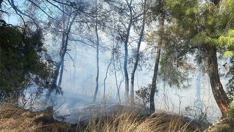 Manavgat'ta tarım arazisinde başlayan yangın ormanlık alana sıçradı