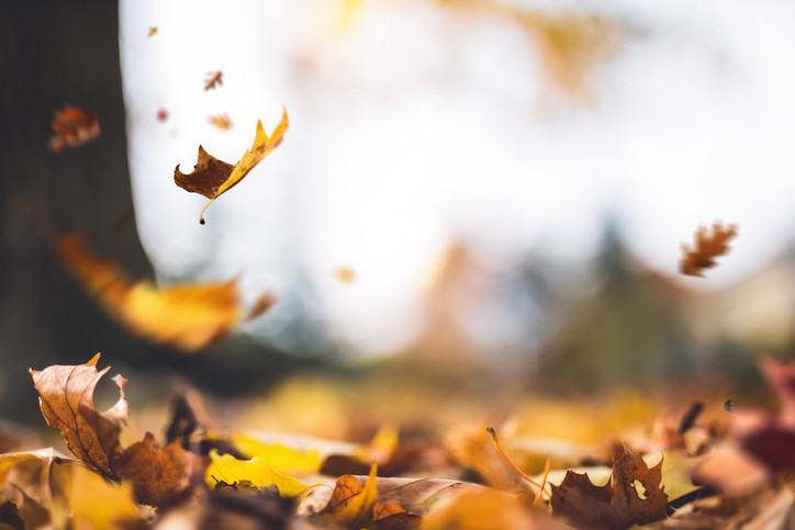 PASTIRMA SICAKLARI TAKVİMİ 2025 || Kış öncesi yazdan kalma günler... Pastırma sıcakları ne zaman, geçti mi Pastırma yazı hangi ayda olur, kaç gün sürer