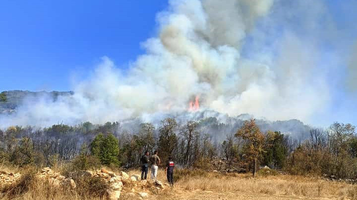 Burdur'da orman yangını: Müdahale ediliyor