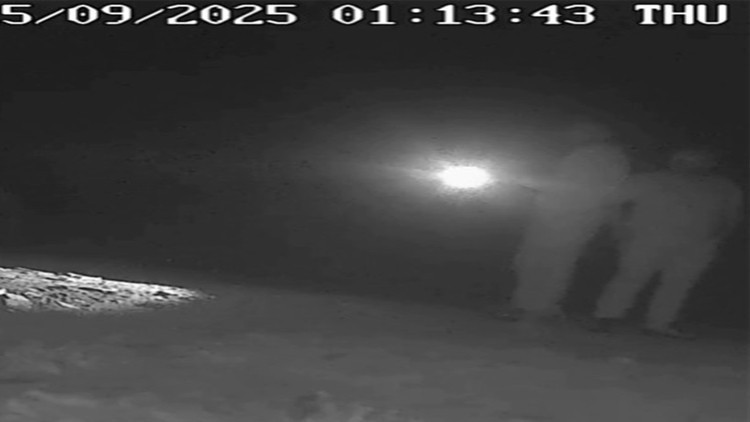 Avcılar fotokapan ile tespit edildi