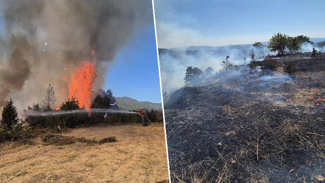 Bursa'da orman yangını! Müdahale başladı
