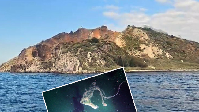 Marmara'da büyük tehdit: 10 metre derinlikte görüldü