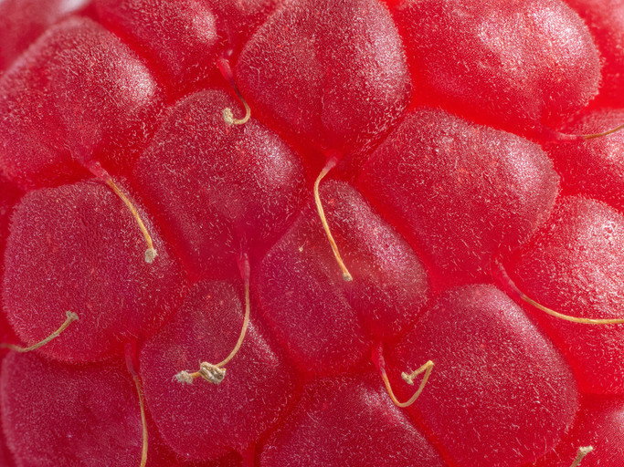 Neredeyse sıfır şeker! Kalp hastalığından insüline iyi gelmediği şey yok... İşte her hafta mutlaka tüketmeniz gereken beş süper meyve