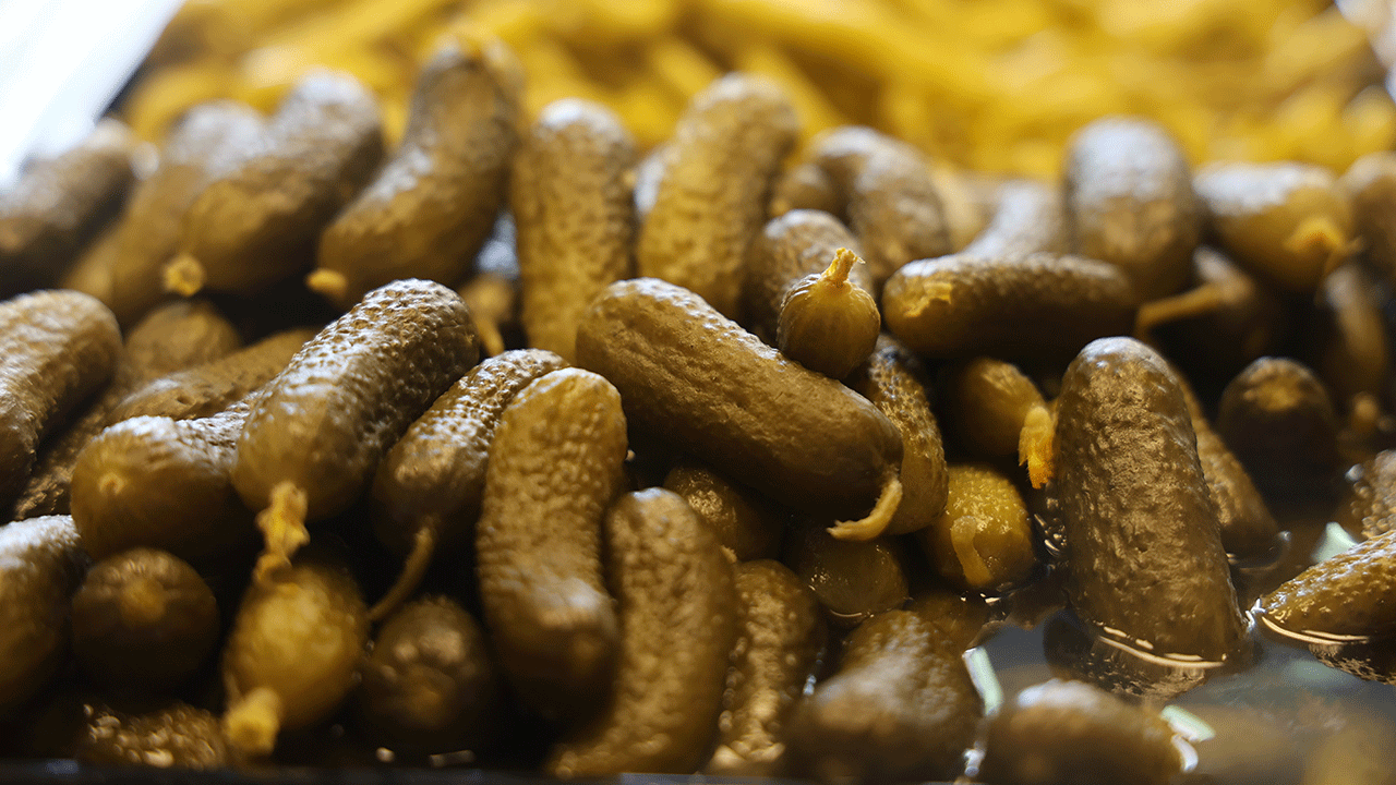 4 bin yıllık doğal salgın savaşçısı: Turşu