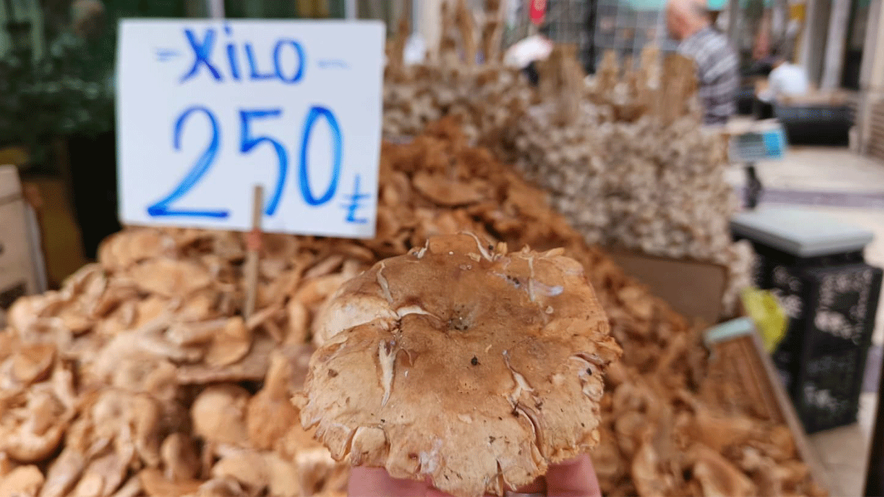 Tezgahlarda tirmit bolluğu: Fiyatı düştü