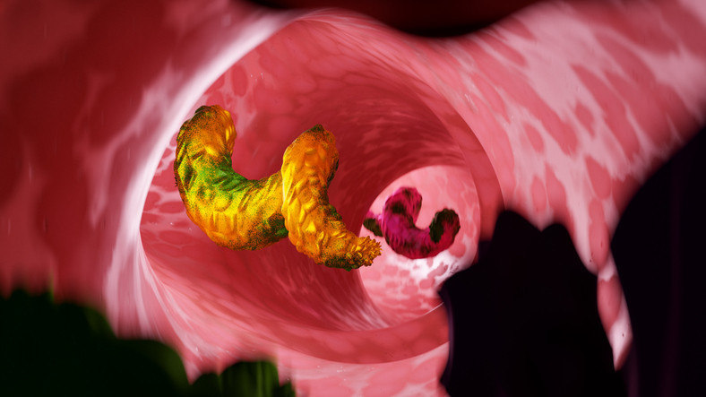 Hızla yayılıyor Kendi kendine iyileşir mi Sonbahar bu hastalıklar ile geliyor Hızla yayılıyor Kendi kendine iyileşir mi Sonbahar bu hastalıklar ile geliyor