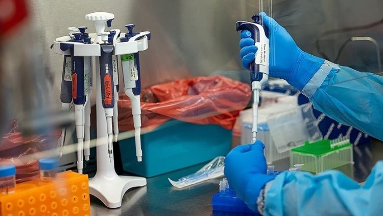 Maymun çiçeği vakaları artıyor, sayı 583’e çıktı
