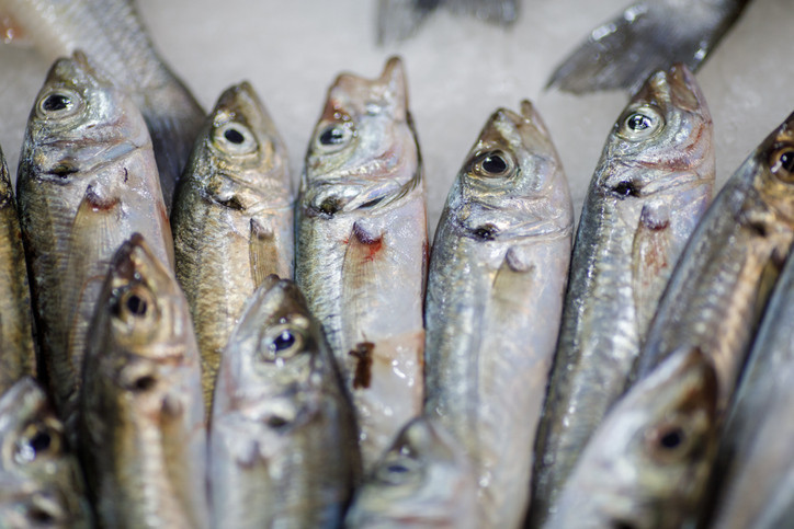 Türkiyede iki hafta içinde onlarca kişi hastanelik oldu, 2 çocuk hayatını kaybetti Gıda zehirlenmelerini önlemek için bu uyarılara dikkat Türkiyede iki hafta içinde onlarca kişi hastanelik oldu, 2 çocuk hayatını kaybetti Gıda zehirlenmelerini önlemek için bu uyarılara dikkat