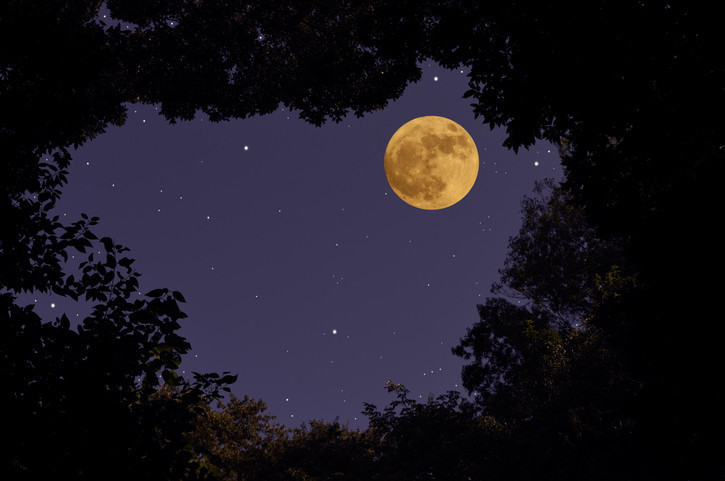 DOLUNAY TAKVİMİ EKİM 2025 (SÜPER AY) || Ekim ayı Dolunayı ne zaman, saat kaçta gerçekleşecek Hasat Dolunayı ne demek