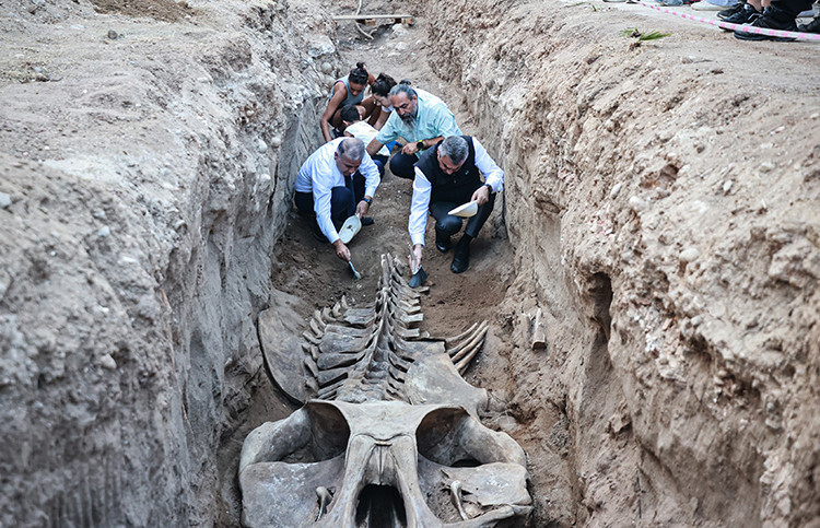 İki gün içinde tamamı topraktan çıkarılacak Tam 14 metre: Kentte büyük heyecan
