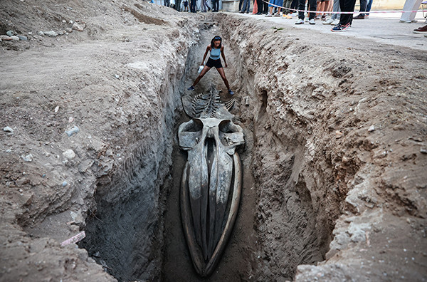 İki gün içinde tamamı topraktan çıkarılacak Tam 14 metre: Kentte büyük heyecan
