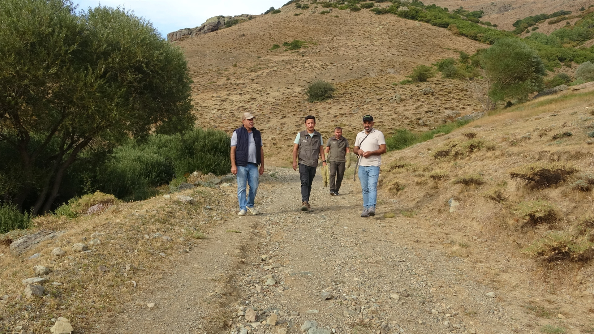 Annesini kaybeden yavru ayı için köylüler harekete geçti Annesini kaybeden yavru ayı için köylüler harekete geçti