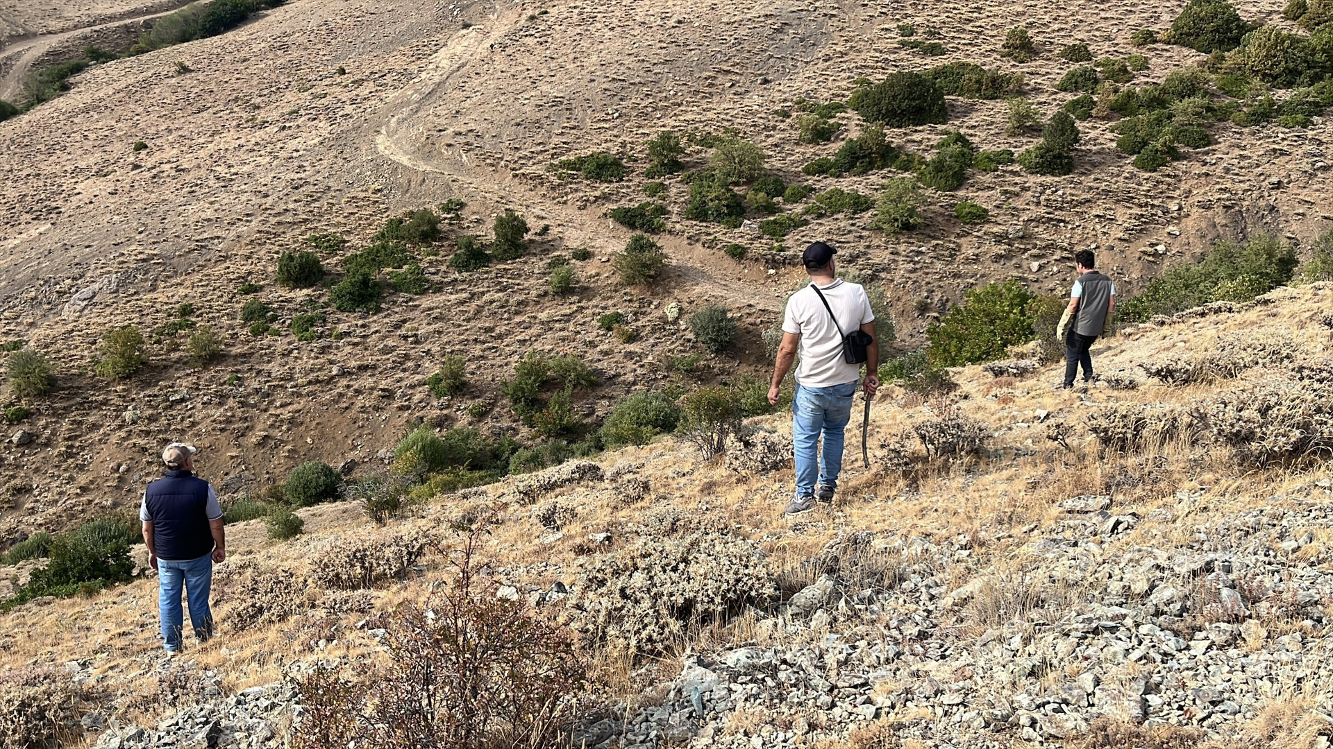 Annesini kaybeden yavru ayı için köylüler harekete geçti Annesini kaybeden yavru ayı için köylüler harekete geçti